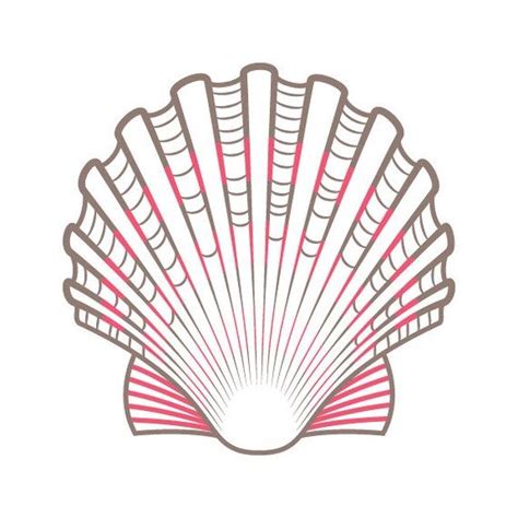 Image result for Scallop Shell Pattern