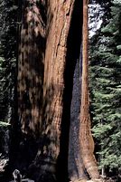 debank sequoia china 200makhtarcoindesk