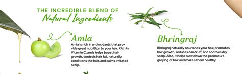 Buy Strengthening atulya Amla & Bhringraj Hair Mask