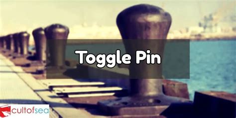 Image result for How Does It Work Toggle Lock Pin