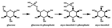 Novel Chemical and Biological Insights of Inositol Derivatives in ...