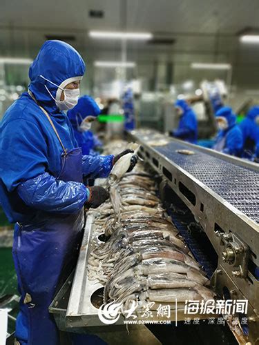山东海都：亚洲最大的鱿鱼精深加工基地 -威海新闻网