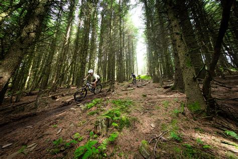 Full Golf Round 的图像结果