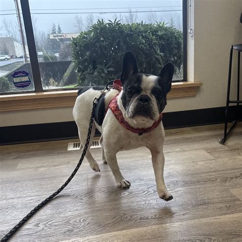 Pine Point Animal Hospital (@pinepointvet) • Instagram photos and videos