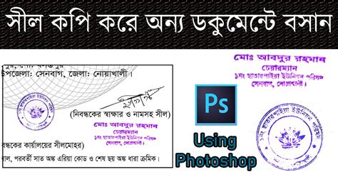 Image result for How to Copy Paste Stamp in Documents