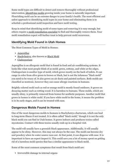 Ways to Identify Dangerous Mold | PDF