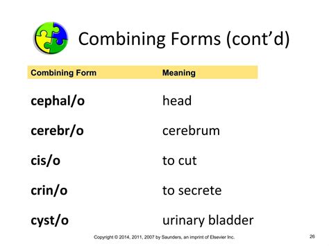 Cephal O Medical Term