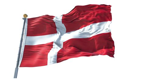 Sovereign Military Order of Malta Flag PNG 12301200 PNG