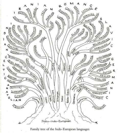 Image result for Borean Language Tree