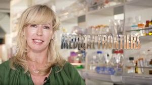 NHK World Japan Live TV : Watch Latest, Breaking News Live Online