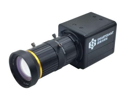 Gate Array 的图像结果