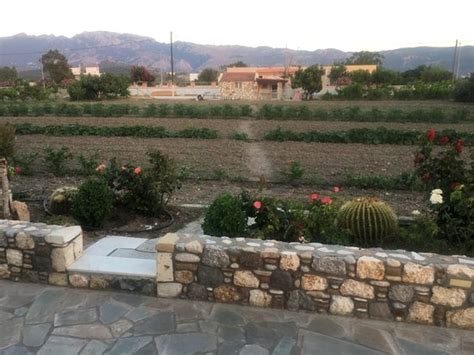 VENOS APARTMENTS (Kós/Marmari) - Apartment Reviews, Photos, Rate ...