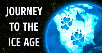 Learn More About Rock at Brightside.me: Explore Now!