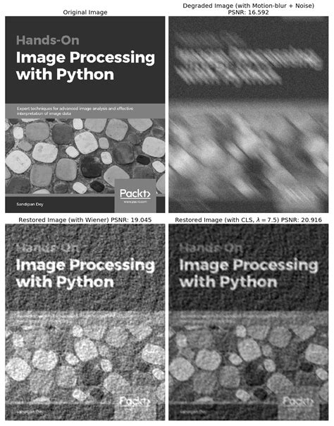 Image result for Processing Python Book