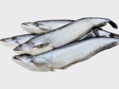 SEAFOOD SOLUTION - B2B Frozen Seafood Supplier