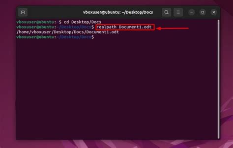 Absolute Path Linux 的图像结果