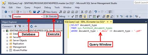 Image result for SQL Server Management Studio Execute Query