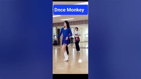 Image result for Dance Monkey Line Dance Tutorial