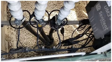 Image result for Sentient Line Sensor