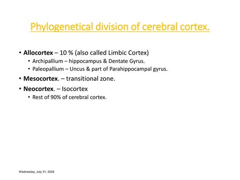 Kluver-Bucy Syndrome.ppt affecting cerebral cortex | PPT