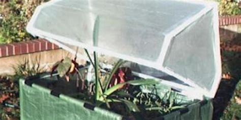 Image result for PVC Pipe Cold Frame