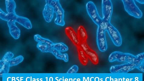 CBSE 10th Science MCQs on Chapter 8 How Do Organisms Reproduce with Answers