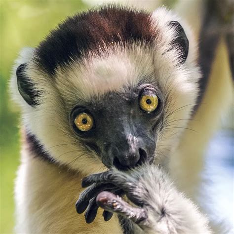 OM SYSTEM Cameras, Lenses, Audio & Binoculars