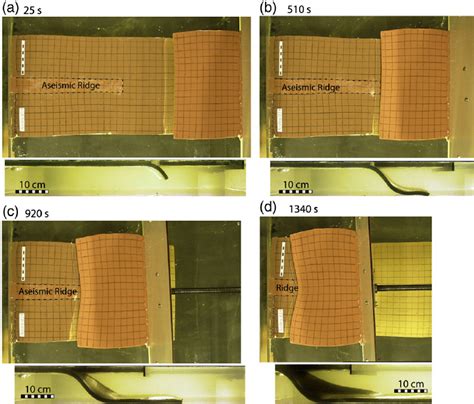 Image result for Lateral Inversion Experiment