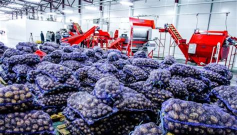 SEDEX platform and SMETA audits