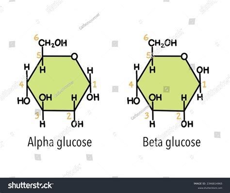 Alpha And Beta Glucose