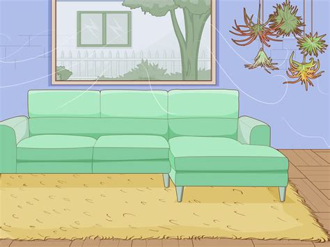 How to Properly Water Air Plants 的图像结果