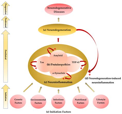 Exploring the Etiological Links behind Neurodegenerative Diseases ...
