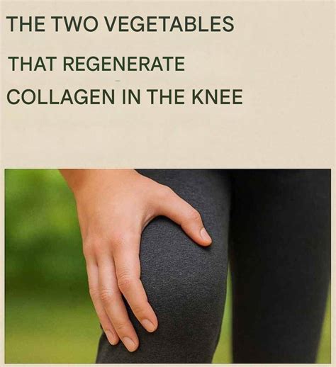 Vegetables that strengthen collagen in the knees and joints – Tiny House Zone