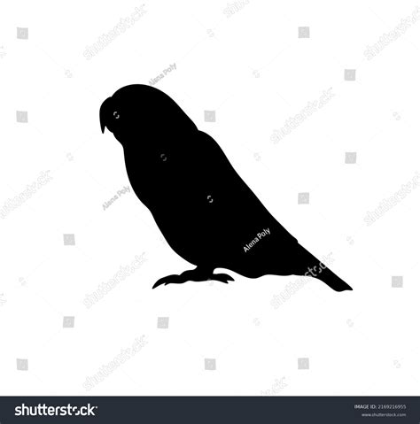 Image result for Parrot Side View