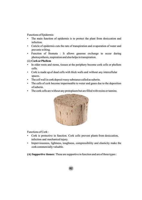 Class 9 Science Tissue 的图像结果