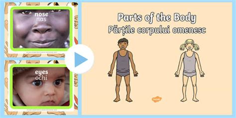 Parts of the Body PowerPoint English/Romanian (teacher made)