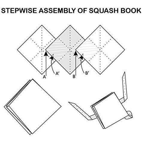 SQUASH BOOK – Edu Toys