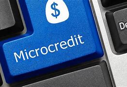 Image result for microlenders