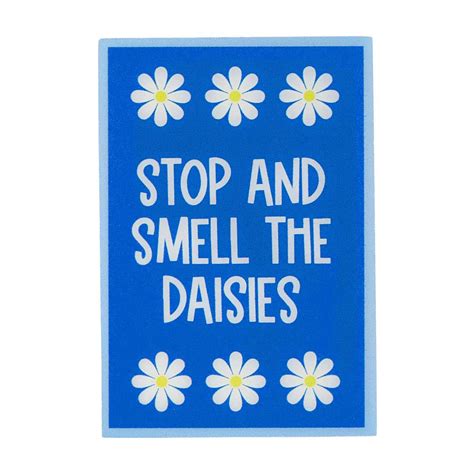 Buy Summer Rectangular Printed Decorative Fridge Magnets, 6 Assorted ...
