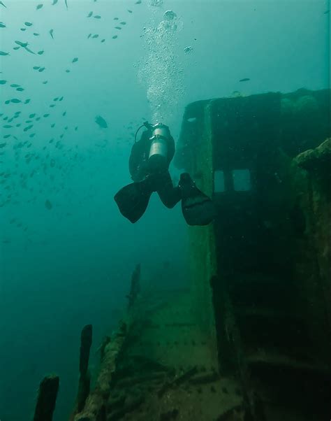 The Ultimate Guide to Scuba Diving in La Paz, Mexico