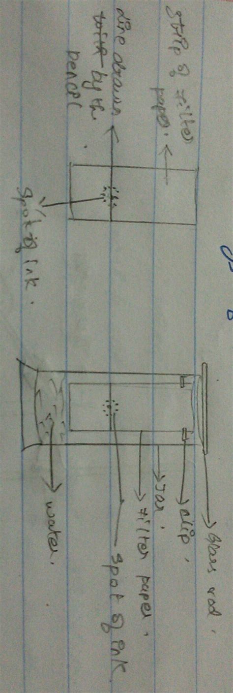 write the principle involved die from ink by using chromatography ...