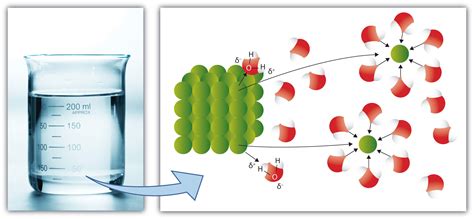 Image result for Dissolution Process Diagram