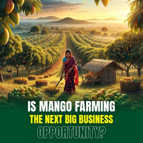 Is Mango Farming the Next Big Business Opportunity? | M/S Holidays ...