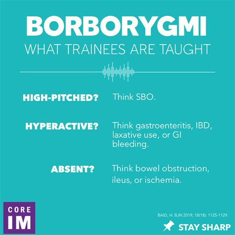 Causes of loud hyperactive bowel sounds - zingAslo