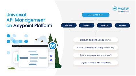 Image result for MuleSoft API Manager Solution