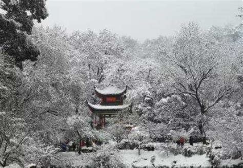 黑龙江的雪乡已经开园，不宰客的雪乡还是很美的_旅游