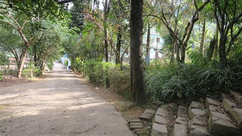 Department Of Botany - MOUNT EVEREST COLLEGE