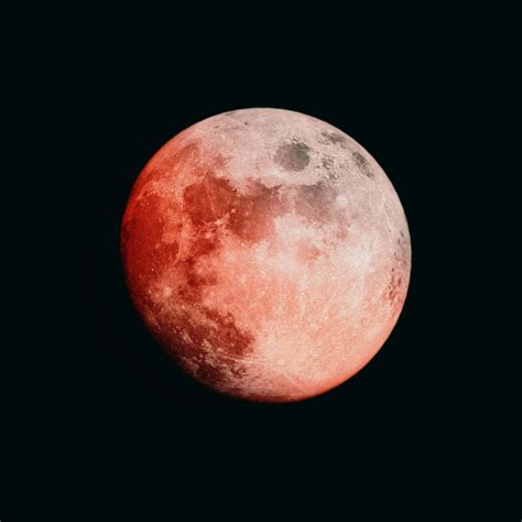 Download Lunar_ Eclipse_ Red_ Moon Wallpaper | Wallpapers.com