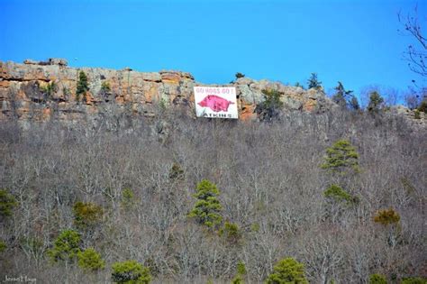 Go Hogs! Painted Sign at Atkins, AR