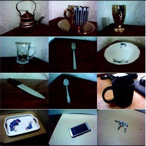 Reference Database 的图像结果